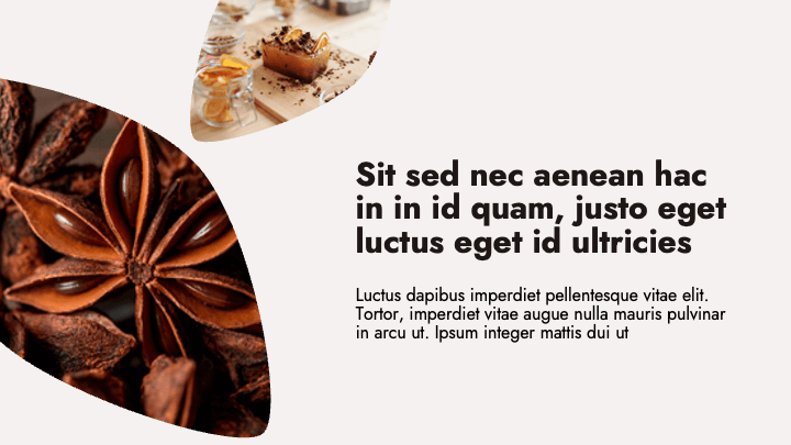 Eco Leaf Brown Organic slide 2